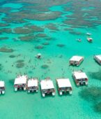 Explore as piscinas naturais de Pernambuco, Alagoas, Bahia, Rio Grande do Norte e Maranhão