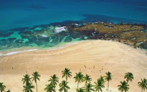 O Que Fazer Em Porto De Galinhas? 