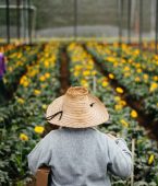 5 Lugares com paisagens floridas incríveis para você conhecer