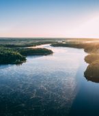 Ecoturismo: as maravilhas do Pantanal brasileiro