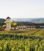 O que fazer em Bento Gonçalves? Confira dicas para esse destino!