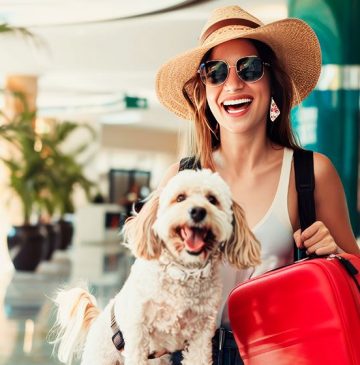 Guia completo com o que você precisa para viajar com seu pet