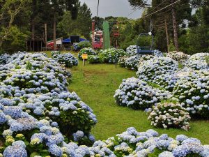 Parque das Flores em Gramado (RS
