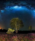 Astroturismo no Brasil: descubra destinos incríveis para observar o céu estrelado